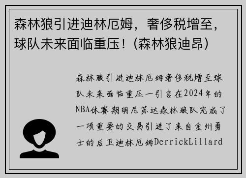 森林狼引进迪林厄姆，奢侈税增至，球队未来面临重压！(森林狼迪昂)