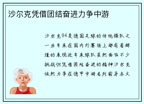 沙尔克凭借团结奋进力争中游
