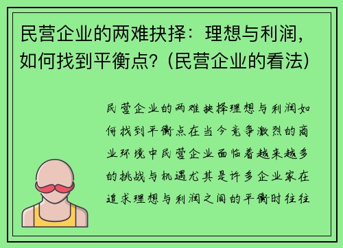 民营企业的两难抉择：理想与利润，如何找到平衡点？(民营企业的看法)
